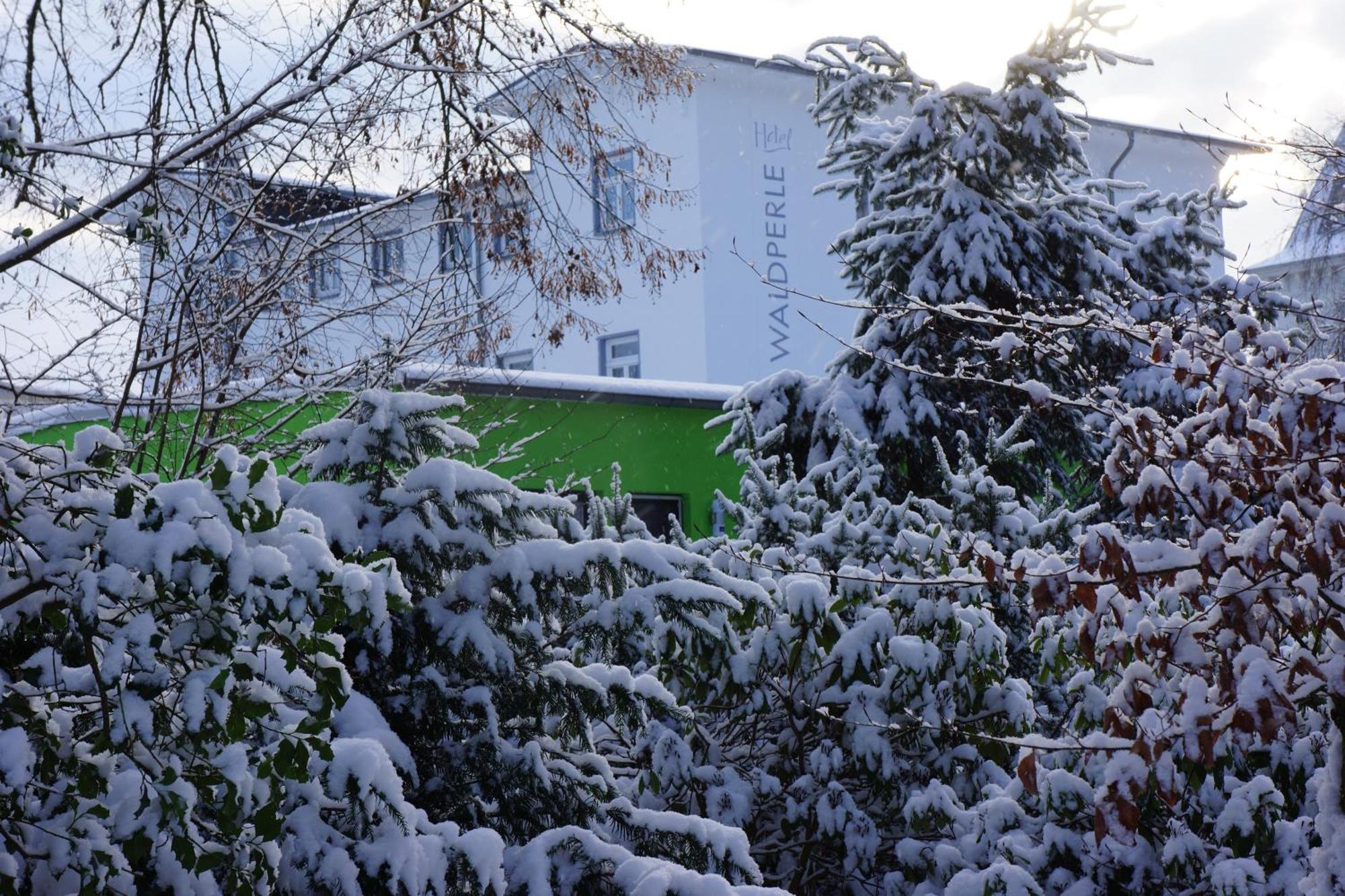 Hotel Waldperle Graal-Mueritz Kültér fotó