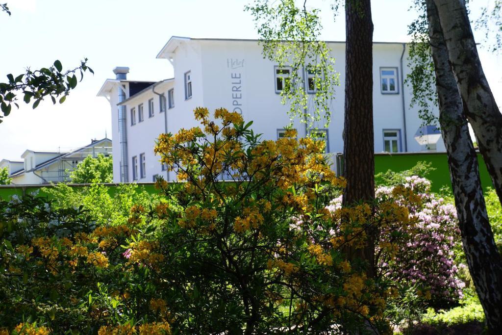 Hotel Waldperle Graal-Mueritz Kültér fotó