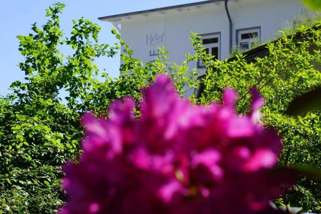 Hotel Waldperle Graal-Mueritz Kültér fotó