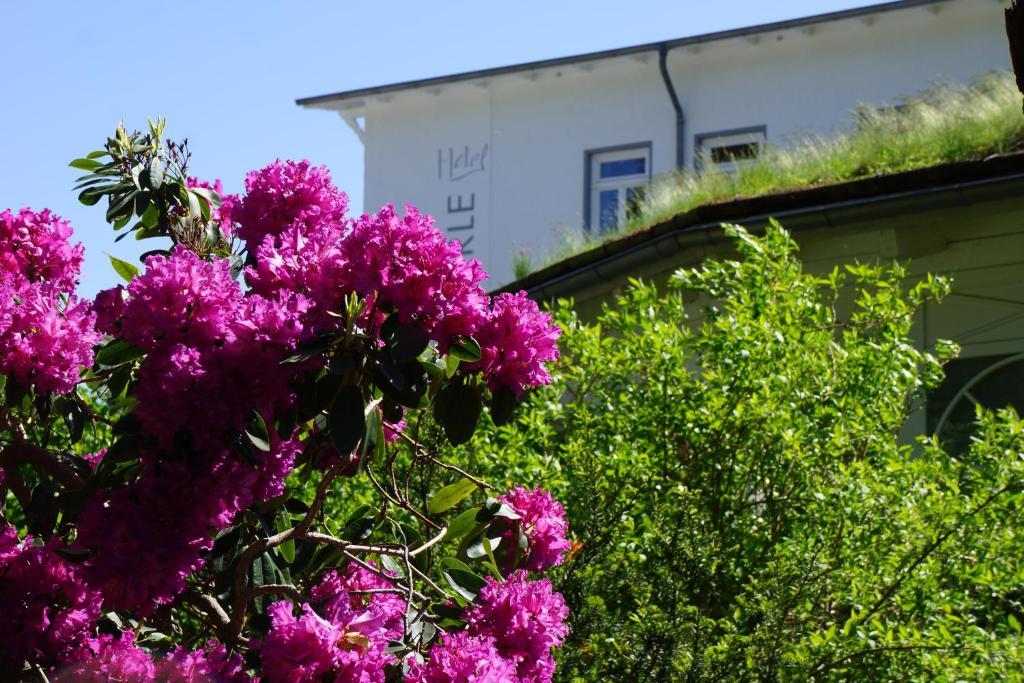 Hotel Waldperle Graal-Mueritz Kültér fotó